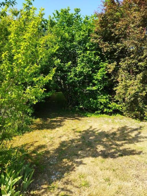 Maison Avec Jardin Auxerre * Saint-Georges-sur-Baulche