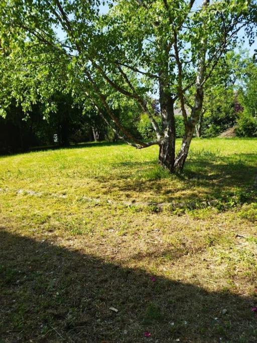 Maison Avec Jardin Auxerre *