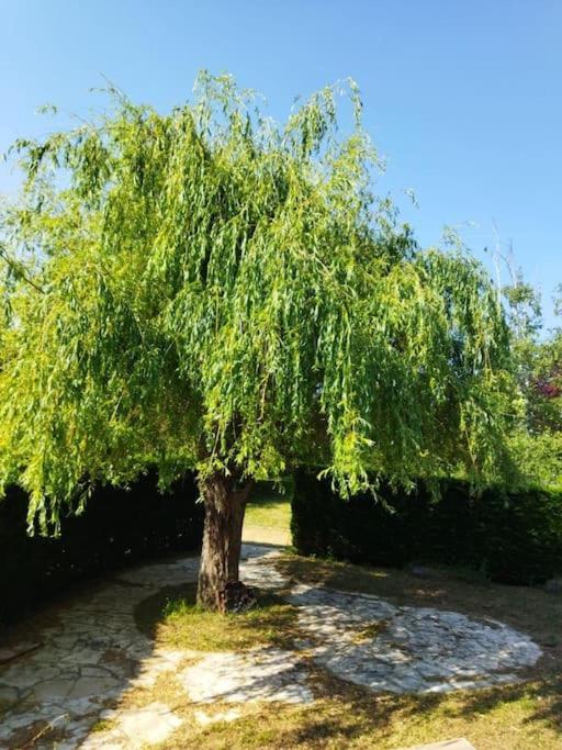 Maison Avec Jardin Auxerre Vakantiehuis